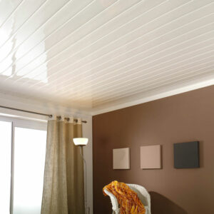 PVC Ceilings